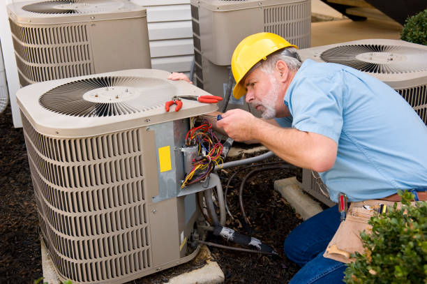 Best Local HVAC companies  in Winthrop, MN